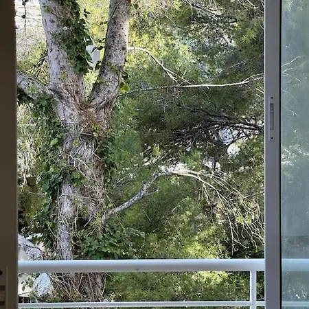 Premium Luxury Rits Apartment